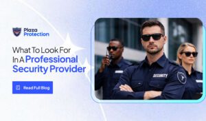 What To Look For In A Professional Security Provider
